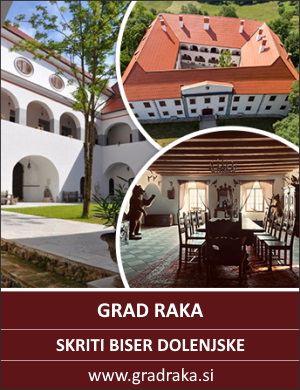 Grad Raka